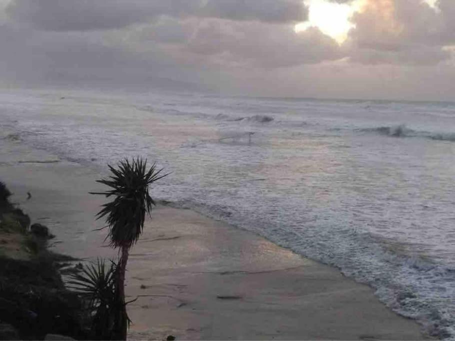 Sandy Toes And Salty Noses Beach House Paradise